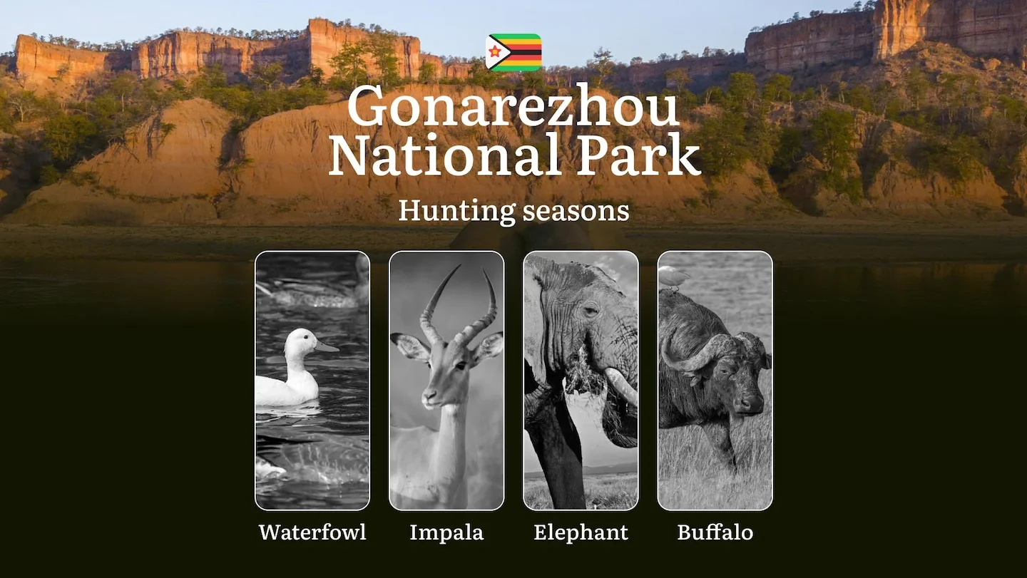 Hunting Seasons in GONAREZHOU NATIONAL PARK, Zimbabwe: Hunting Periods, Licensing, Rules and Times for Hunting, Location…