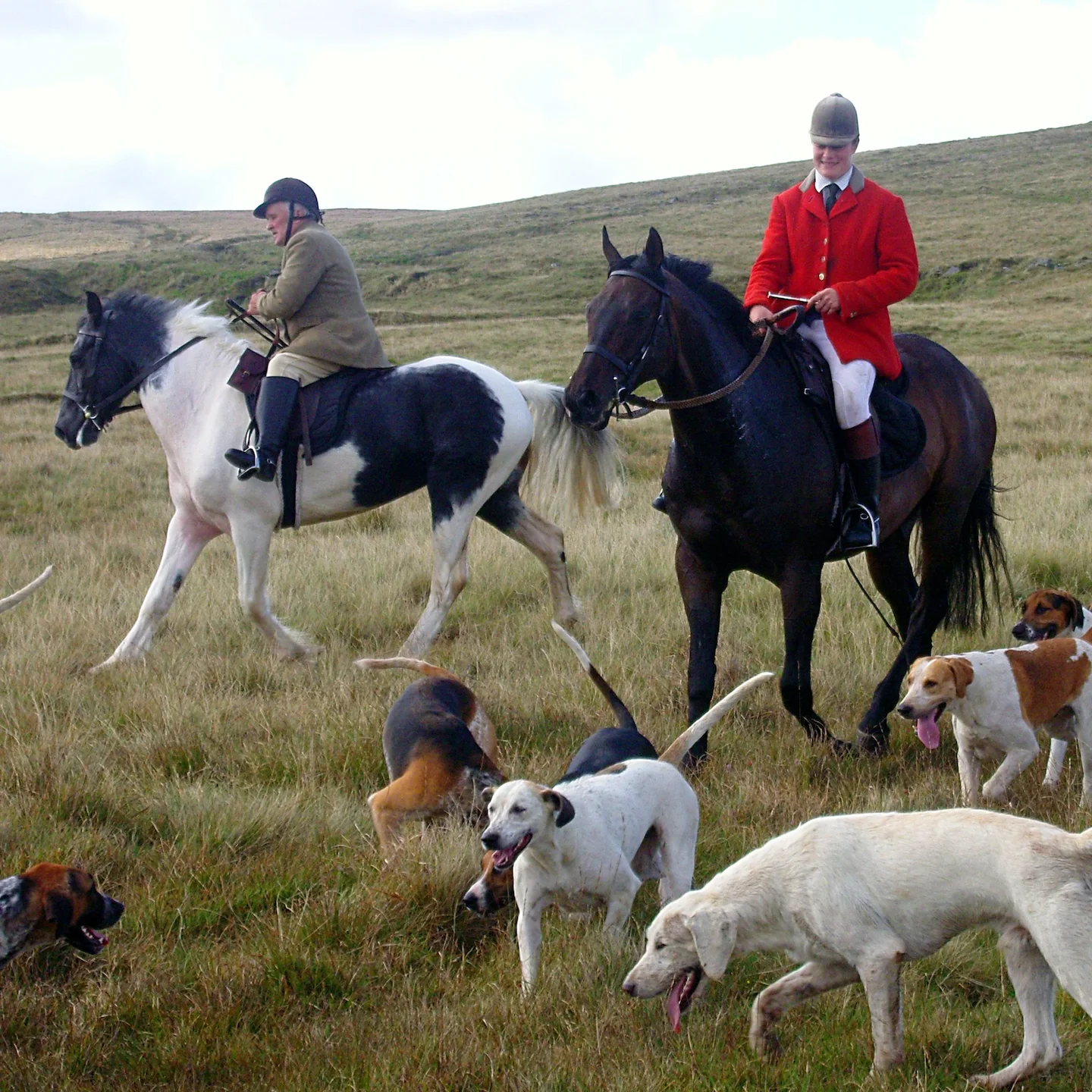 Traditional Irish Drag Hunting at Its Best