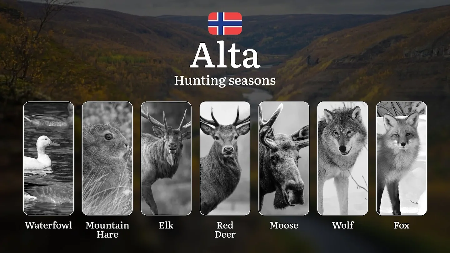 Hunting Seasons in Alta: Regulations, Permits, and Time for Hunting, Documents and Organizations