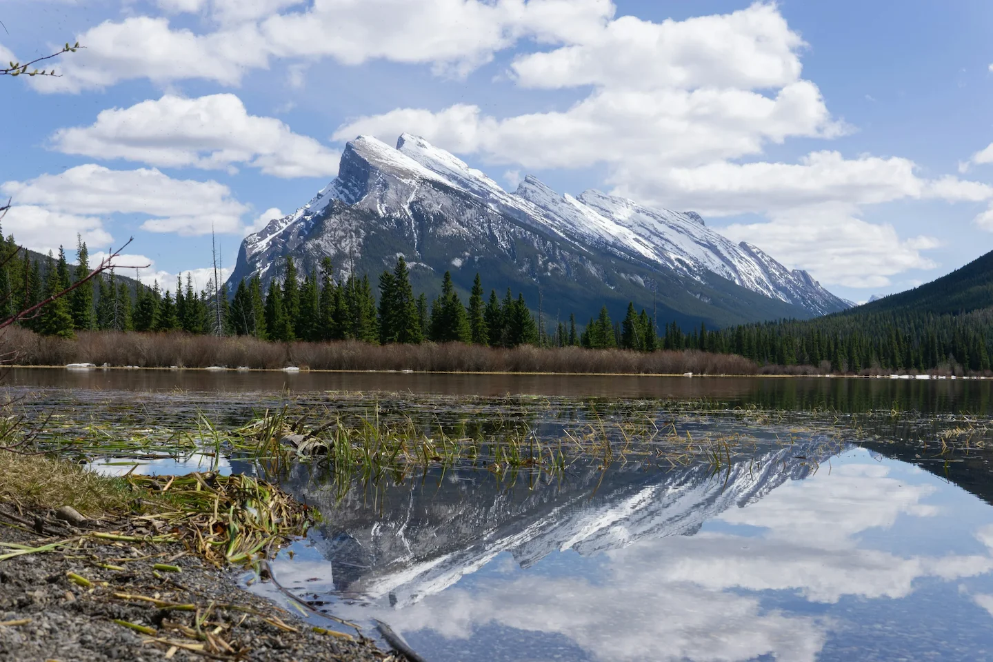 La chasse dans les RÉSERVES AUTOCHTONES au Canada: Caractéristiques géographiques, traditions locales et espèces embléma…