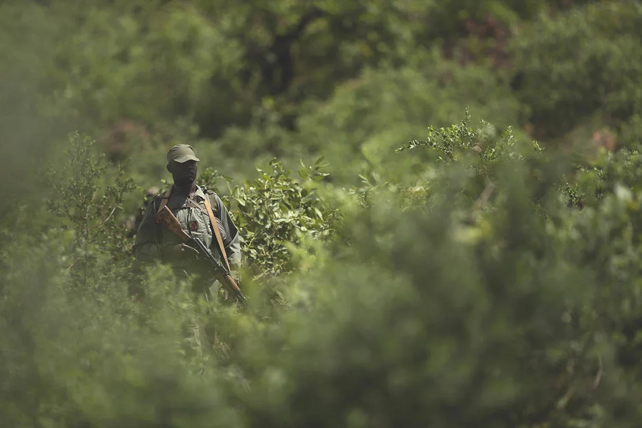 Koulikoro: West Africa’s Hidden Gem for Hunters – Exploring Savannahs, Riverine Riches, and Cultural Traditions in Mali’…