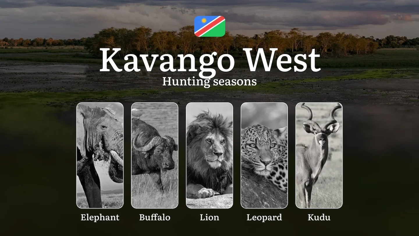 Hunting Seasons in Kavango West: Territorial Regulations, Getting Licensed, Legal Risks of Off-Season Activity, Insights…