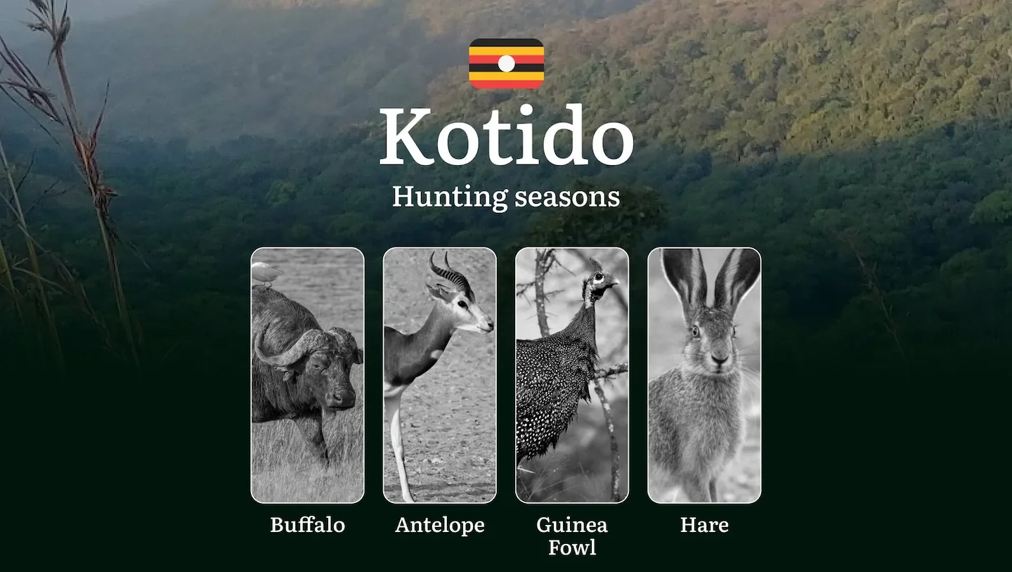 Scheduled Hunting Times in Kotido: Area Regulations, Steps to Obtain a Hunting License, Sanctions for Breaching Hunting…