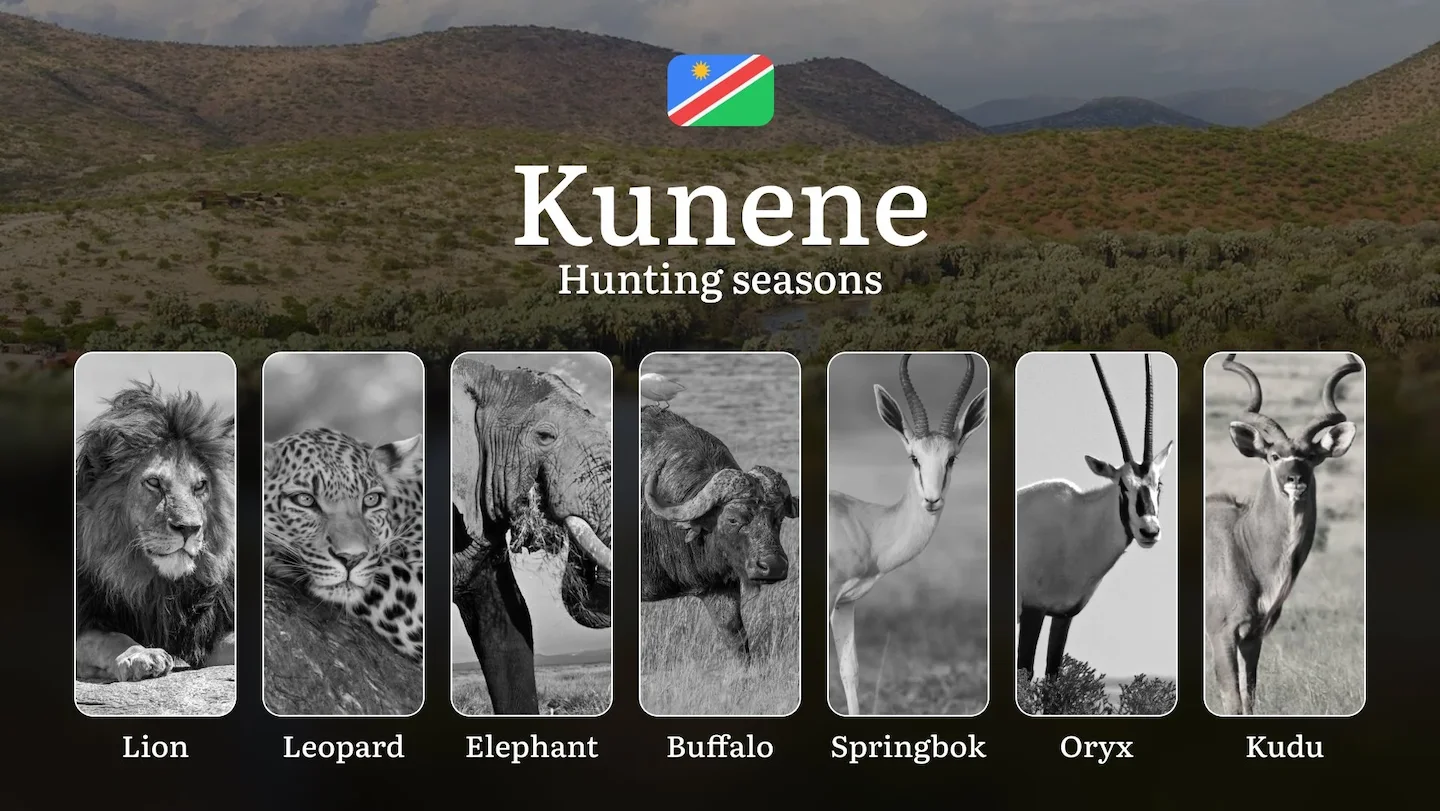 Seasonal Hunting Periods in Kunene: Year-Round Species Access, Game Activity by Season, and Getting Legal Permission to…