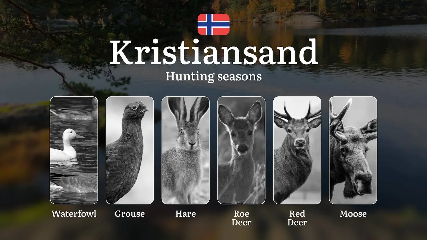 Hunting Seasons in Kristiansand: Regulations, Permits, and Time for Hunting, Documents and Organizations