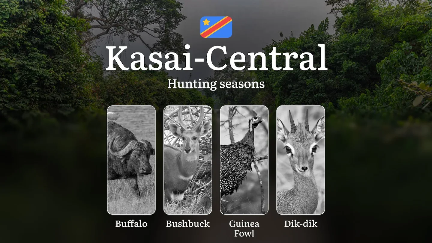 Hunting Date Ranges in Kasaï-Central: Main Seasons by Species, No-Hunt Zones, Regulations and Special Cases, License Pro…