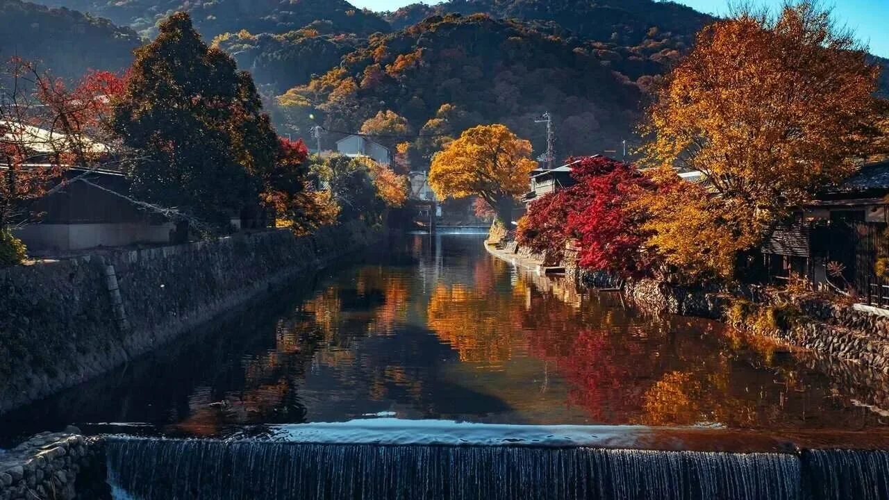 경상북도 사냥 명소
