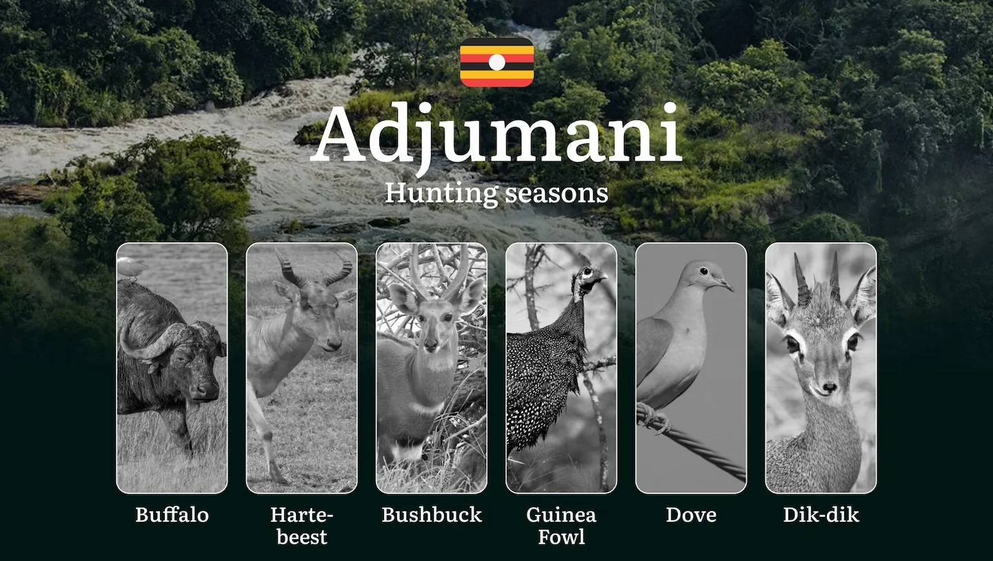 Permitted Hunting Intervals in Adjumani: Year-Round Huntable Wildlife, Seasonal Migration of Game, and the Process for S…