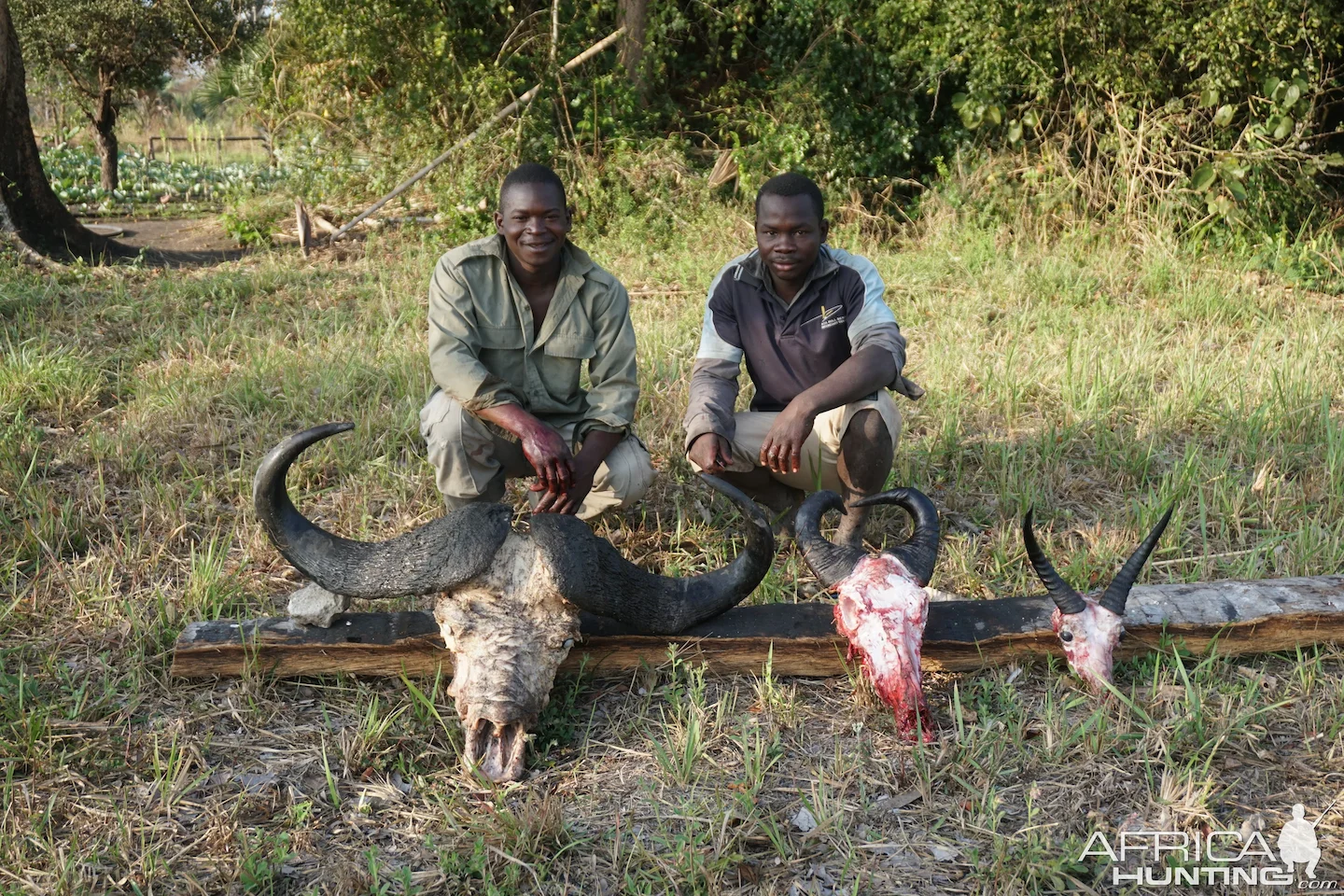 Hunting in COUTADA 11 and 12: A Comprehensive Guide to Terrain, Wildlife, Hunting Methods, and Conservation Efforts in M…