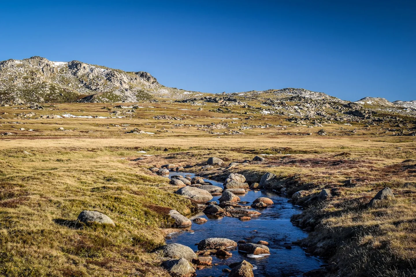 Kosciuszko National Park Permits: Navigating Hunting Legislation in Pristine Wilderness, Demographics, Associations and…
