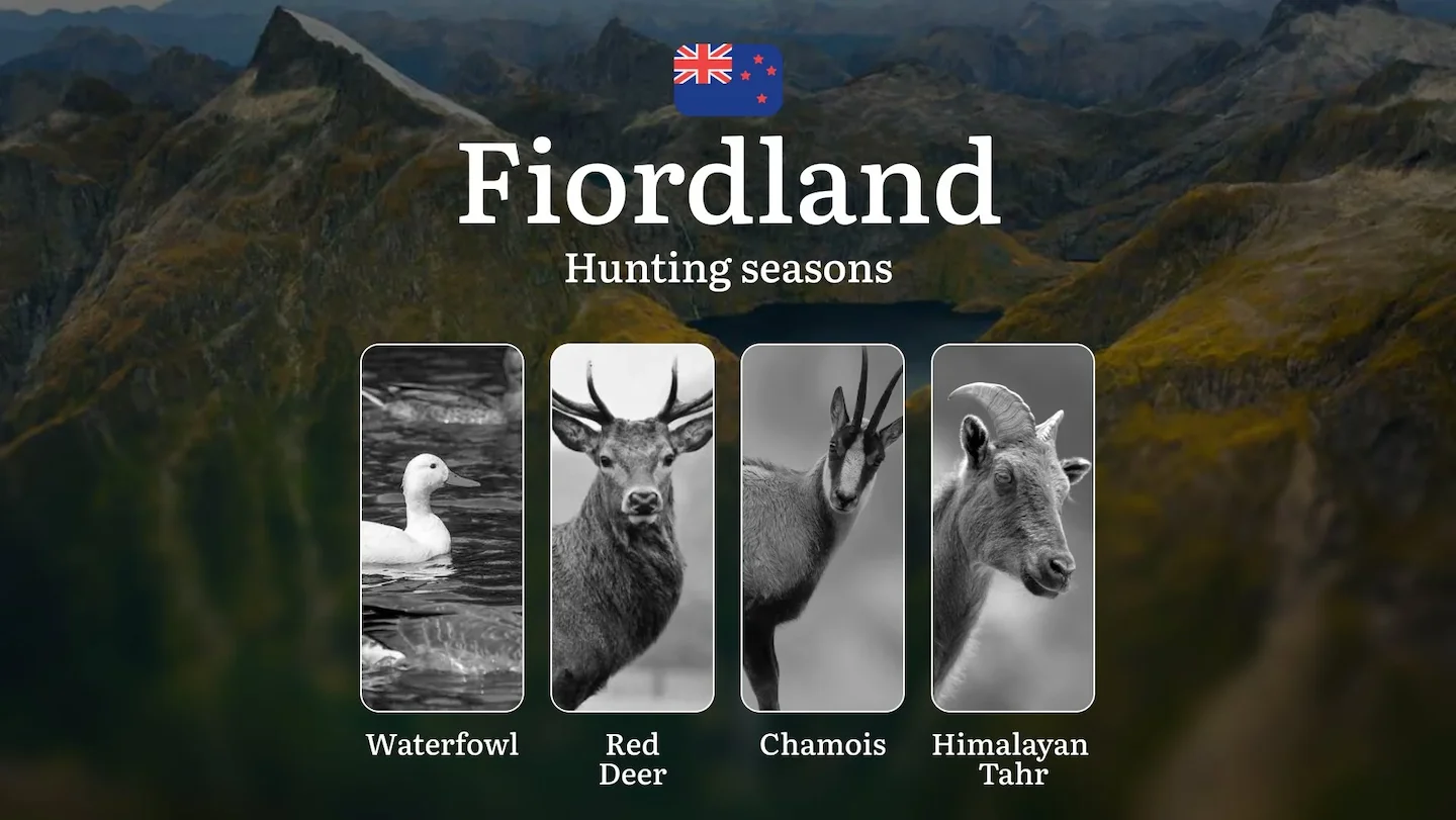 FIORDLAND: Rules, Timing, and Best Periods for Trophy Hunting, Hunting Seasons, Animal Species