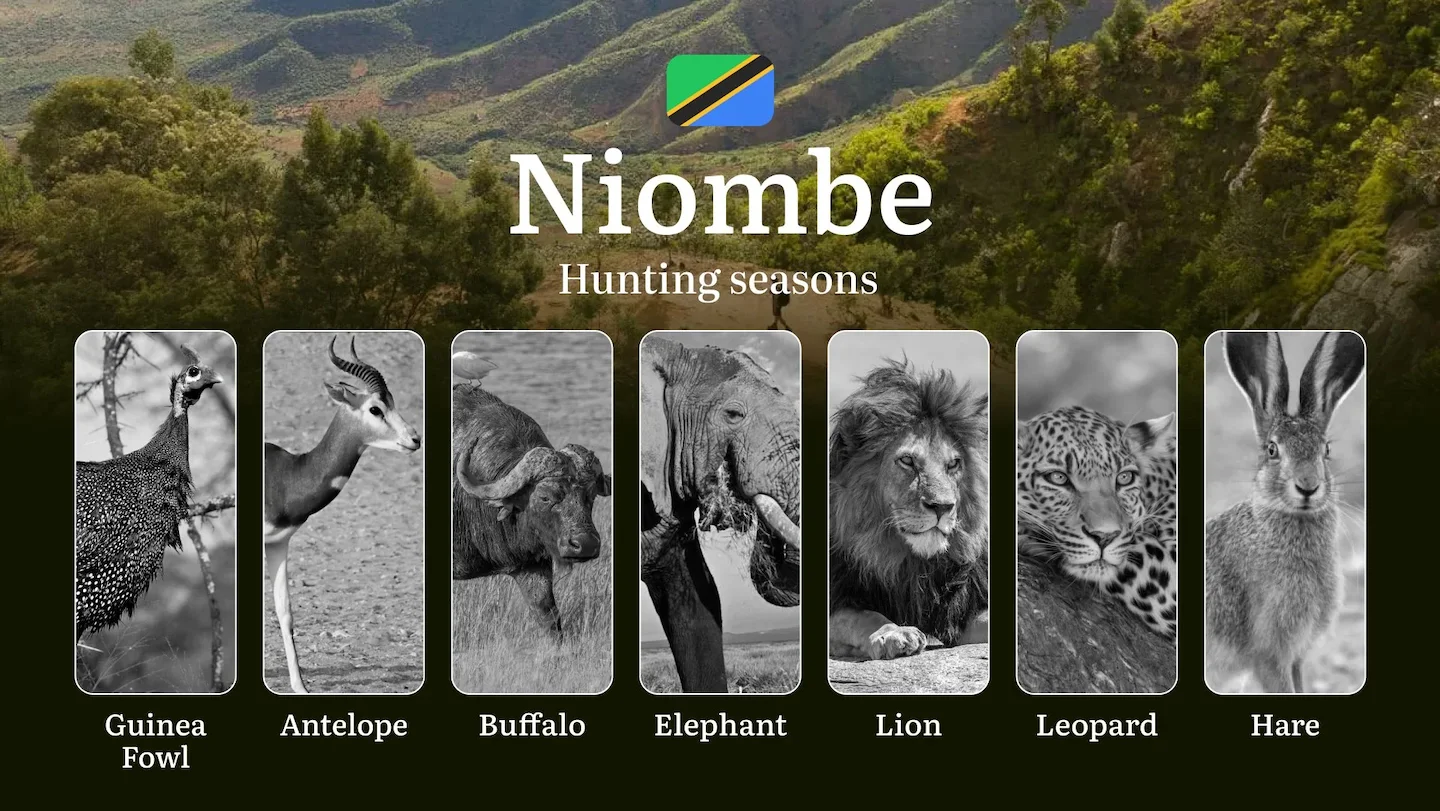 Niombe: Hunting Timeframes, Species and Seasonal Bans, Participating in the Hunt, Getting Licensed, Penalties That May S…