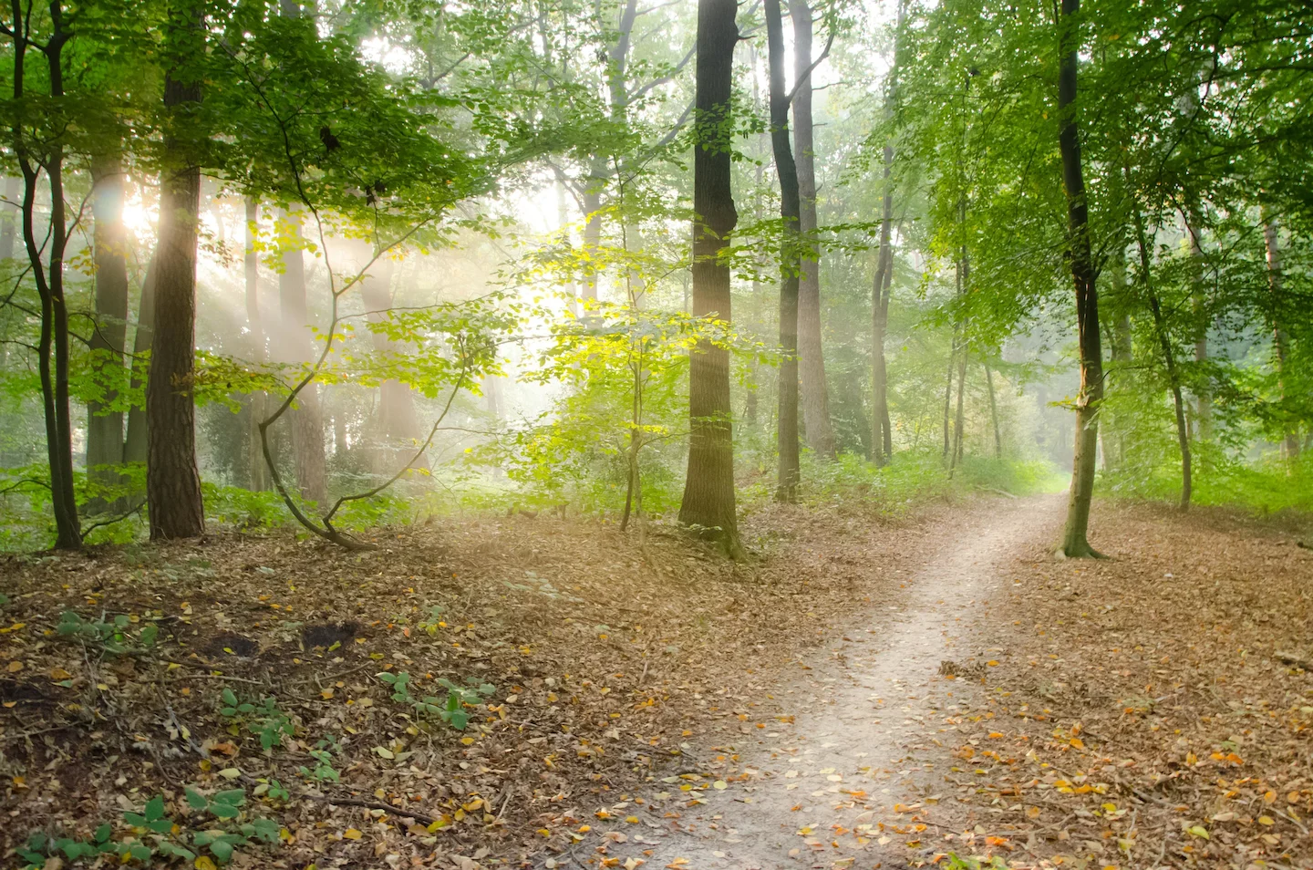 Jagd Seetal 2026: Vorstandswahlen, Statistik und Digitalisierung