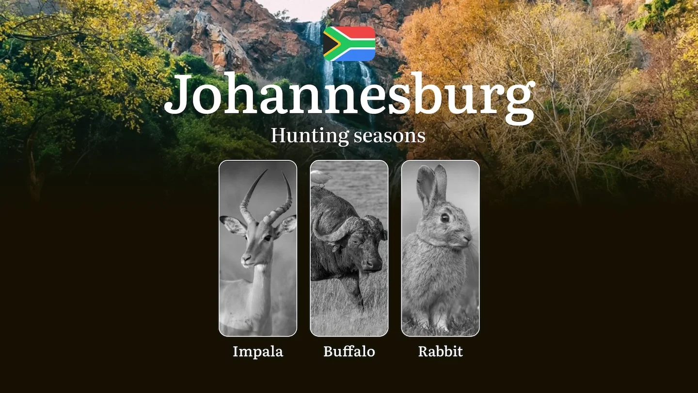 Hunting Time in Johannesburg: Hunting Dates and Seasons, Recommendations for Choosing Season, Tactics, and Equipment, Re…