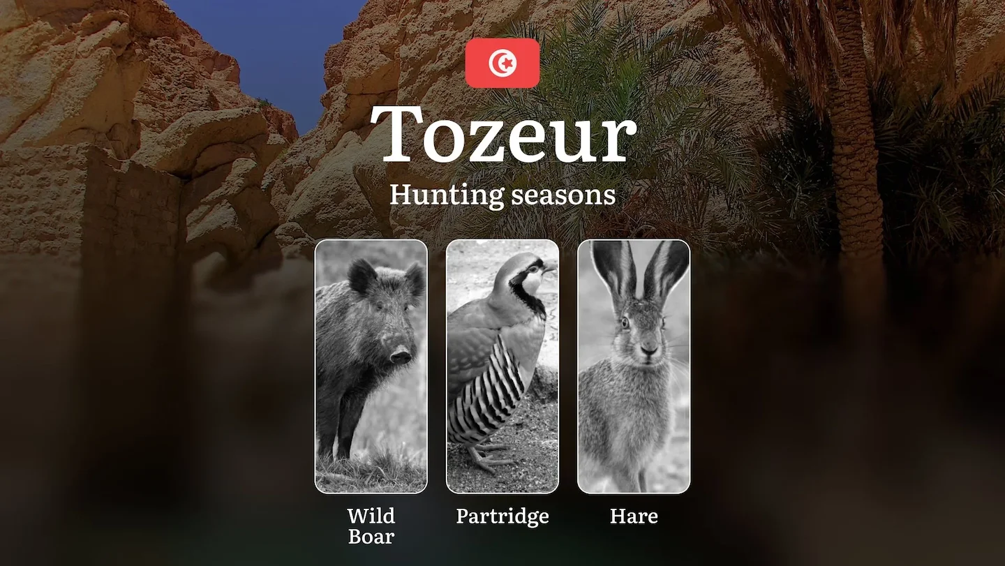 Hunting Seasons in TOZEUR: Optimal Periods, Game Activity, Protected Species, Licensing Procedures, General Hunting Rule…