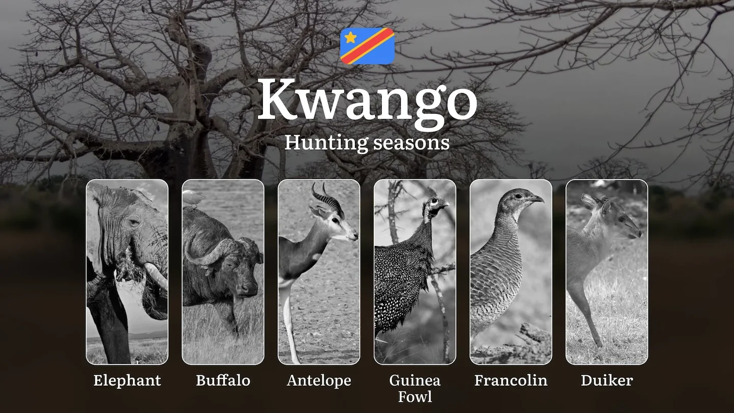 Kwango Province: Official Hunting Dates, Legal Limits, Licensing Standards, Gear Strategies, Tools, and Tactics