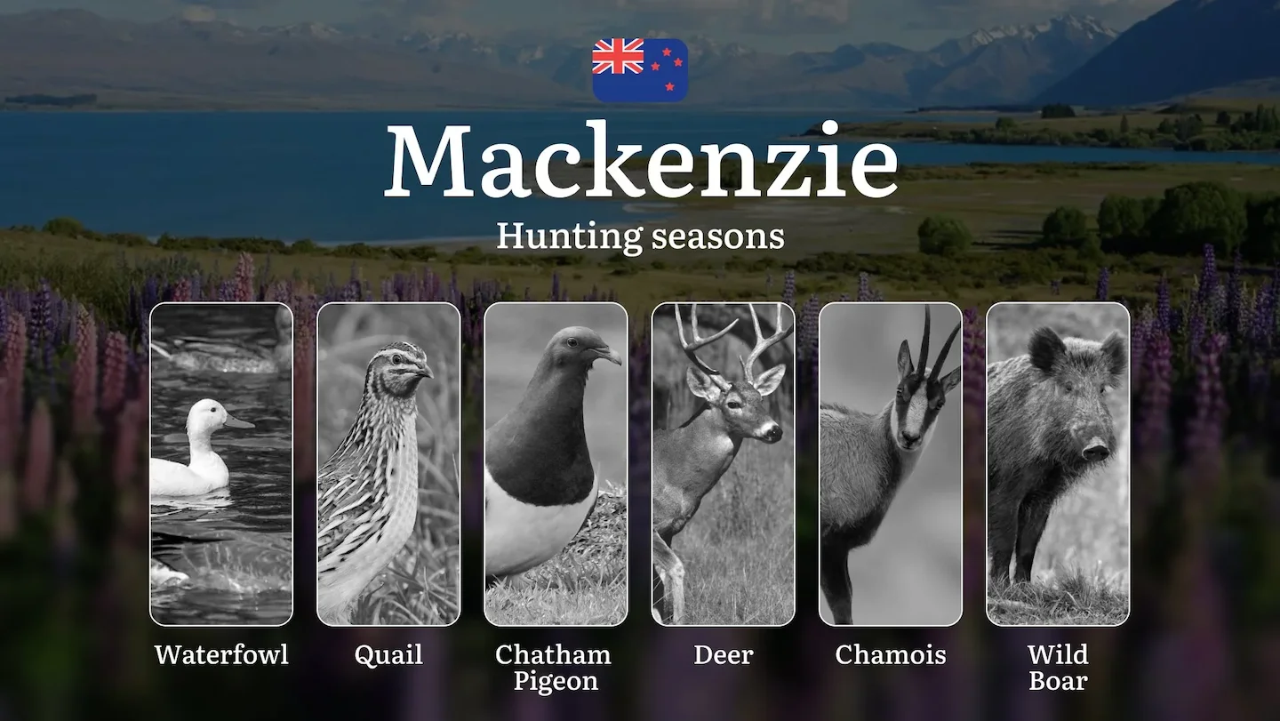 Hunting Seasons in the MACKENZIE Region: Dates, Main Periods and Regional Features, Licences, Rules, and Tactics