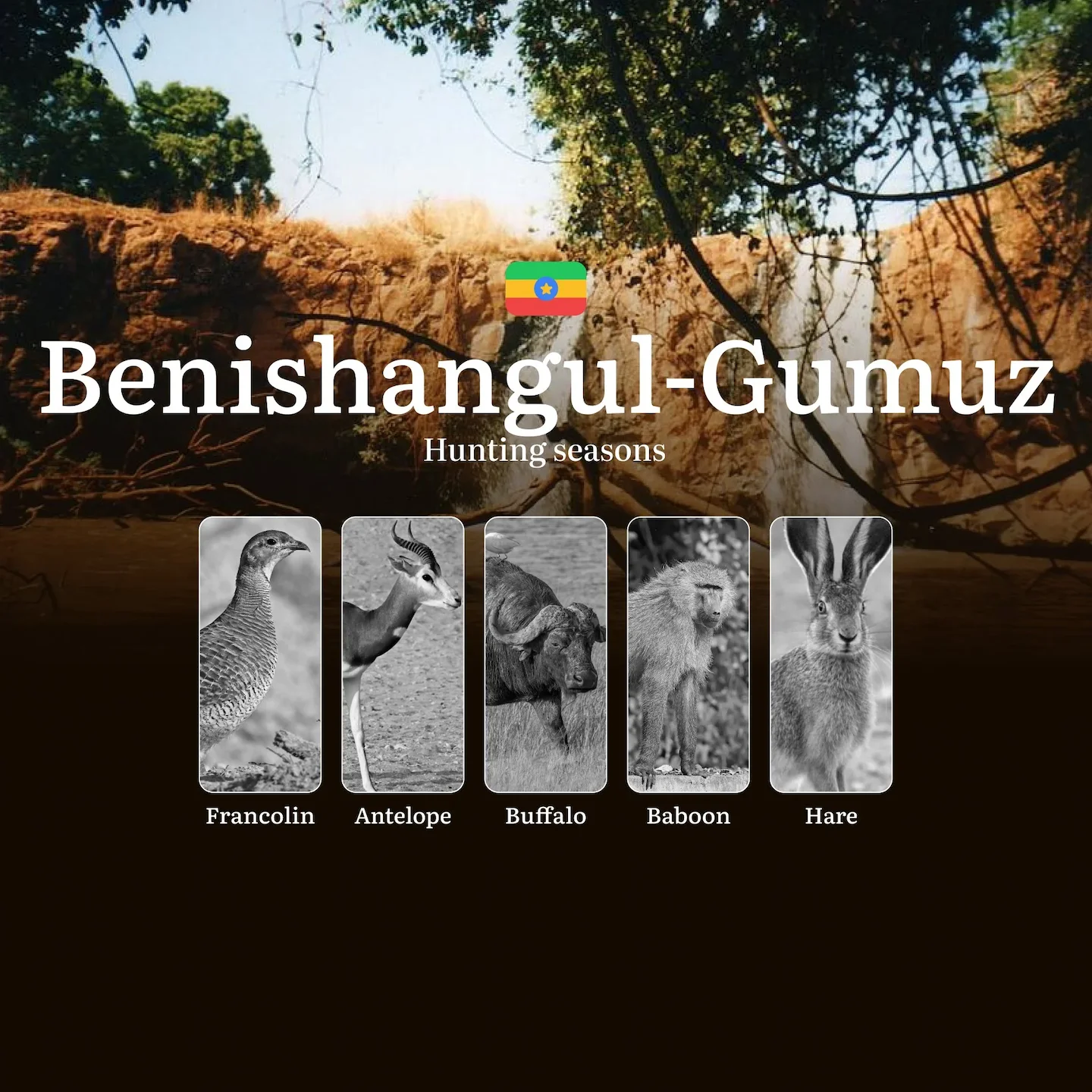Ethiopia, BENISHANGUL-GUMUZ Region: Hunting Periods, Licenses, Rules, Bans, and Protected Species of Hunting
