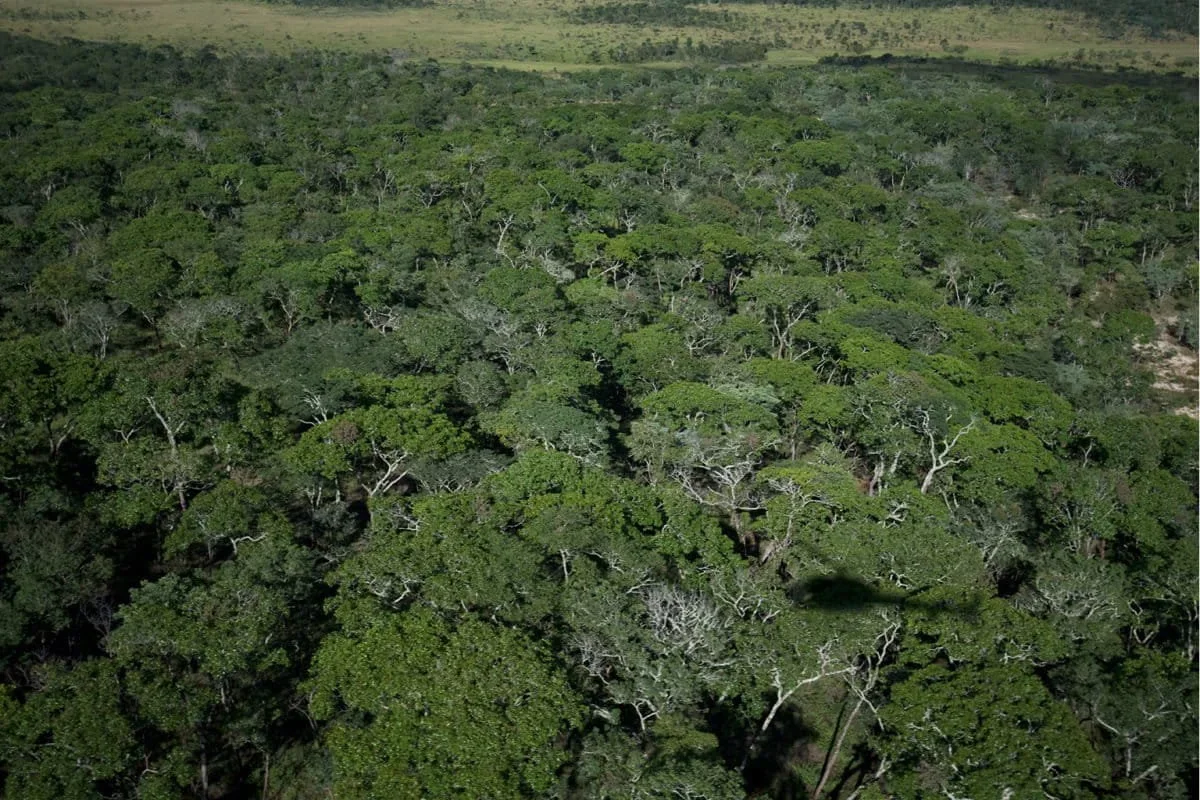Angola's "Source of Life" Becomes a Global Conservation Milestone: Africa's Newest Mega-Wetland
