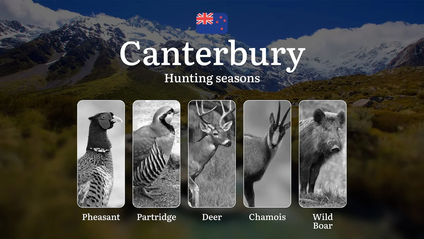 Hunting Time in CANTERBURY, New Zealand: Hunting Periods and Seasons, Licenses and Rules