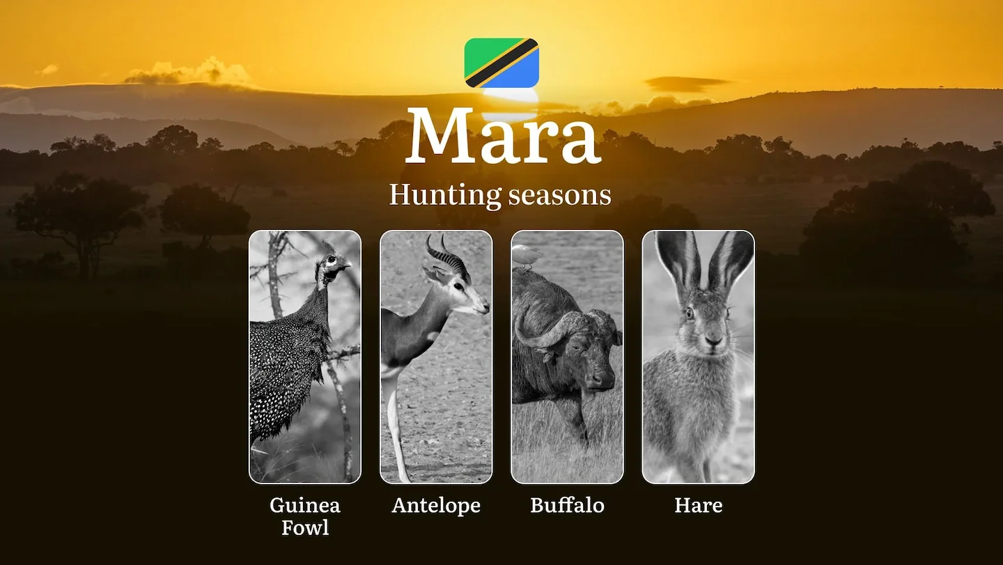 Mara: Hunting Timeframes, Species and Seasonal Bans, Participating in the Hunt, Getting Licensed, Penalties That May Spo…