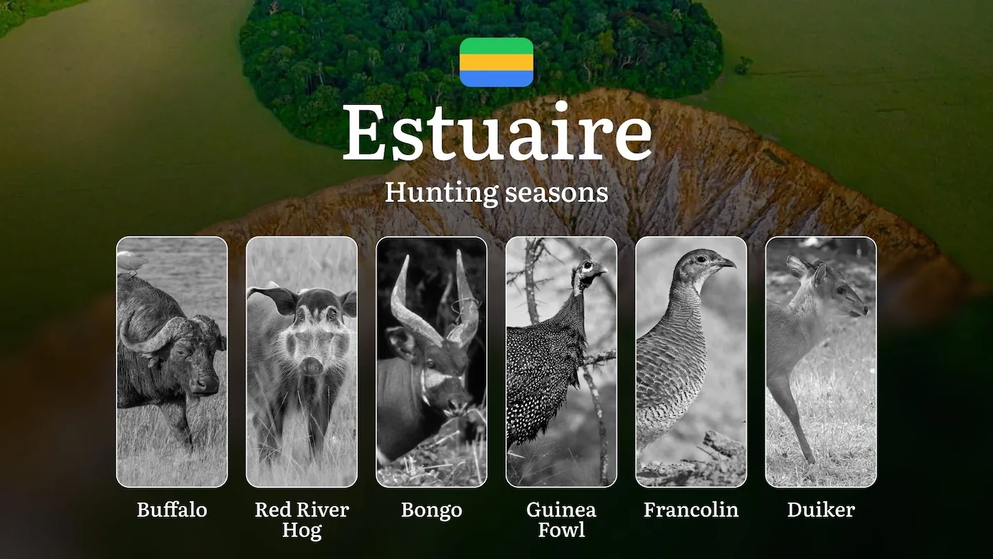 Hunting Seasons in ESTUAIRE: Mandatory Hunting Permits, General Regulations, Game Variations, Legal Restrictions & Key S…