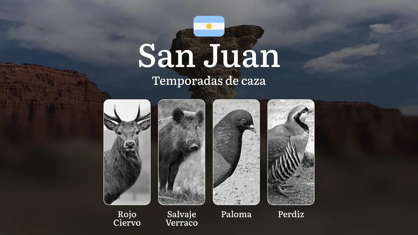 Mejores épocas para la caza, temporadas y normas de caza en San Juan: fechas, reglas, estacionalidad y actividad de la c…