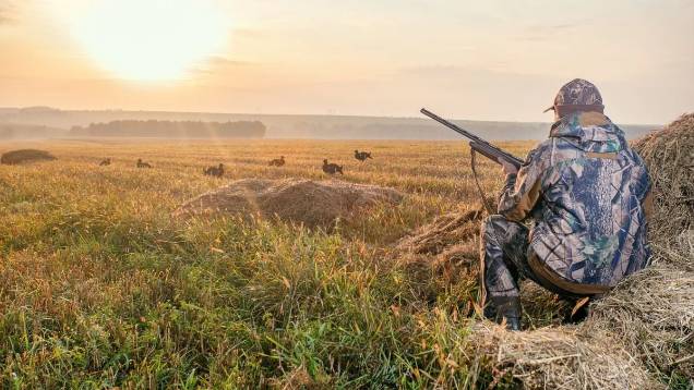 #California Updates Big Game Hunting Management to Balance Conservation and Outdoor Opportunities