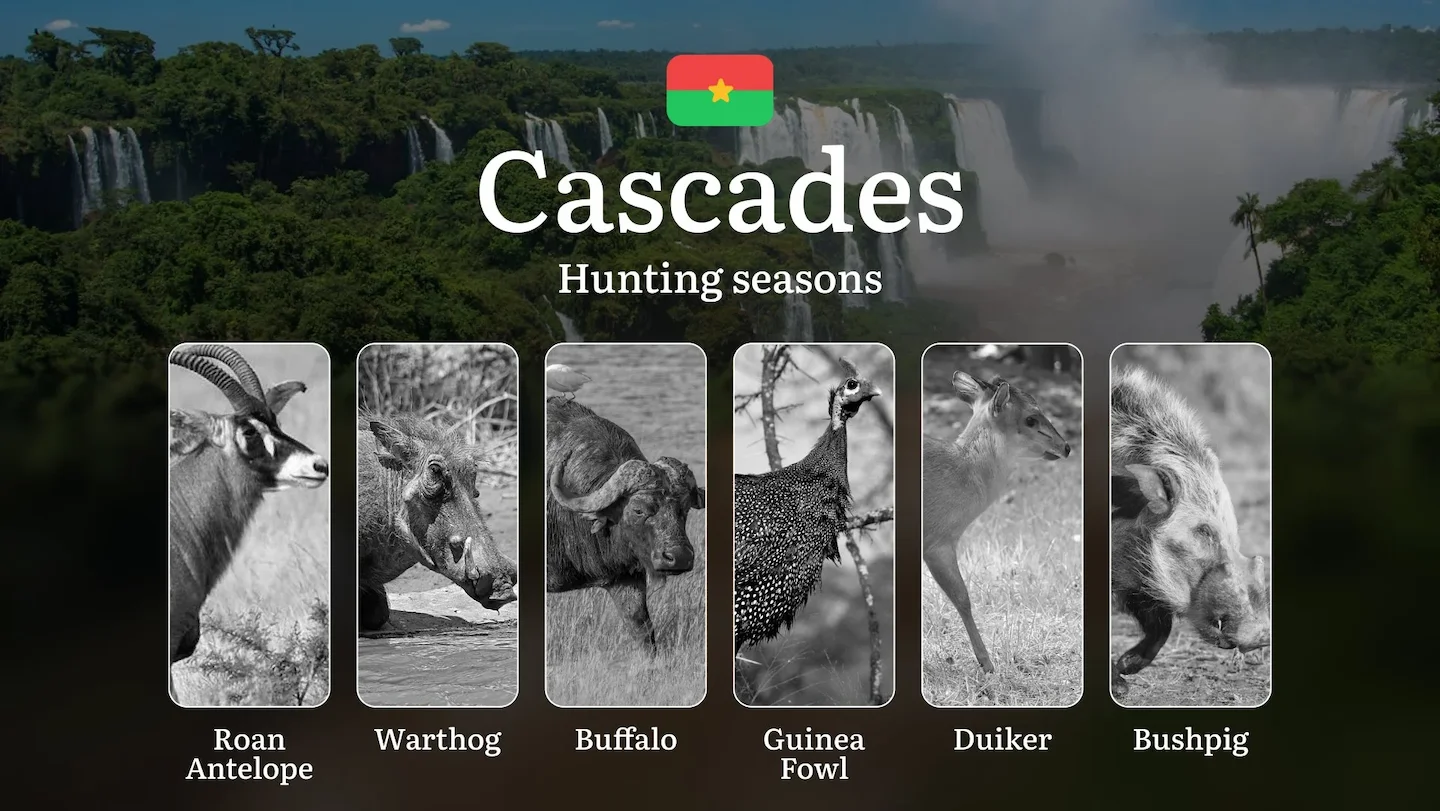 Hunting Seasons in CASCADES Region of Burkina Faso: Key Hunting Periods, General Hunting Rules, Legal Restrictions, Lic…
