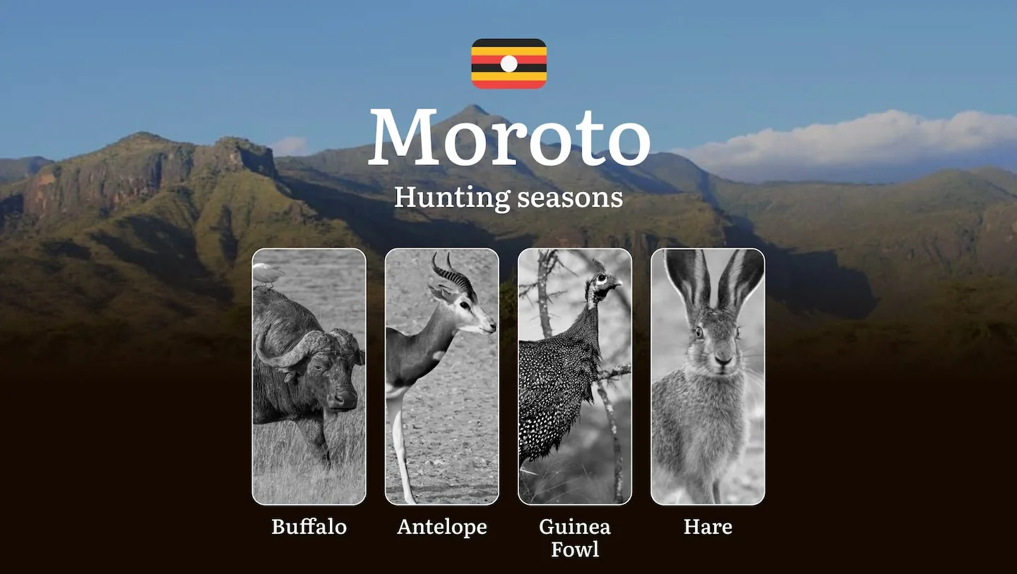 Seasonal Hunting Periods in Moroto: Limits and Seasonal Prohibitions, Licensing Conditions, Fines and Legal Effects of N…