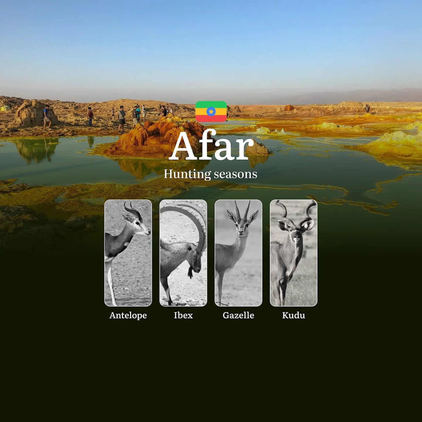 Hunting Seasons in Ethiopia, The AFAR Region: Restrictions, Bans, and Protected Species, Choosing Timing, Gear, and Tact…