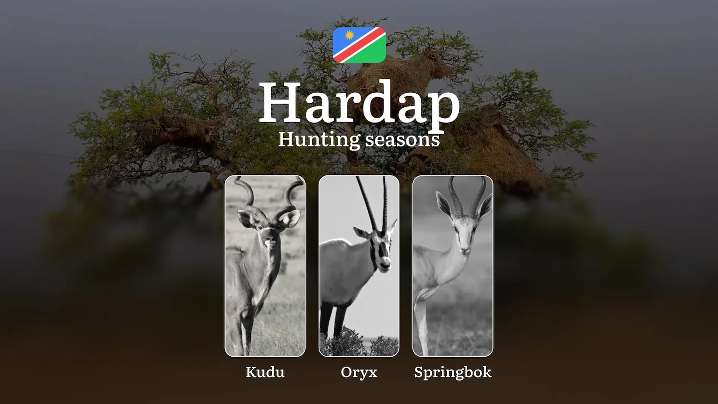 Seasonal Hunting Periods in Hardap: Year-Round Species Access, Game Activity by Season, and Getting Legal Permission to…