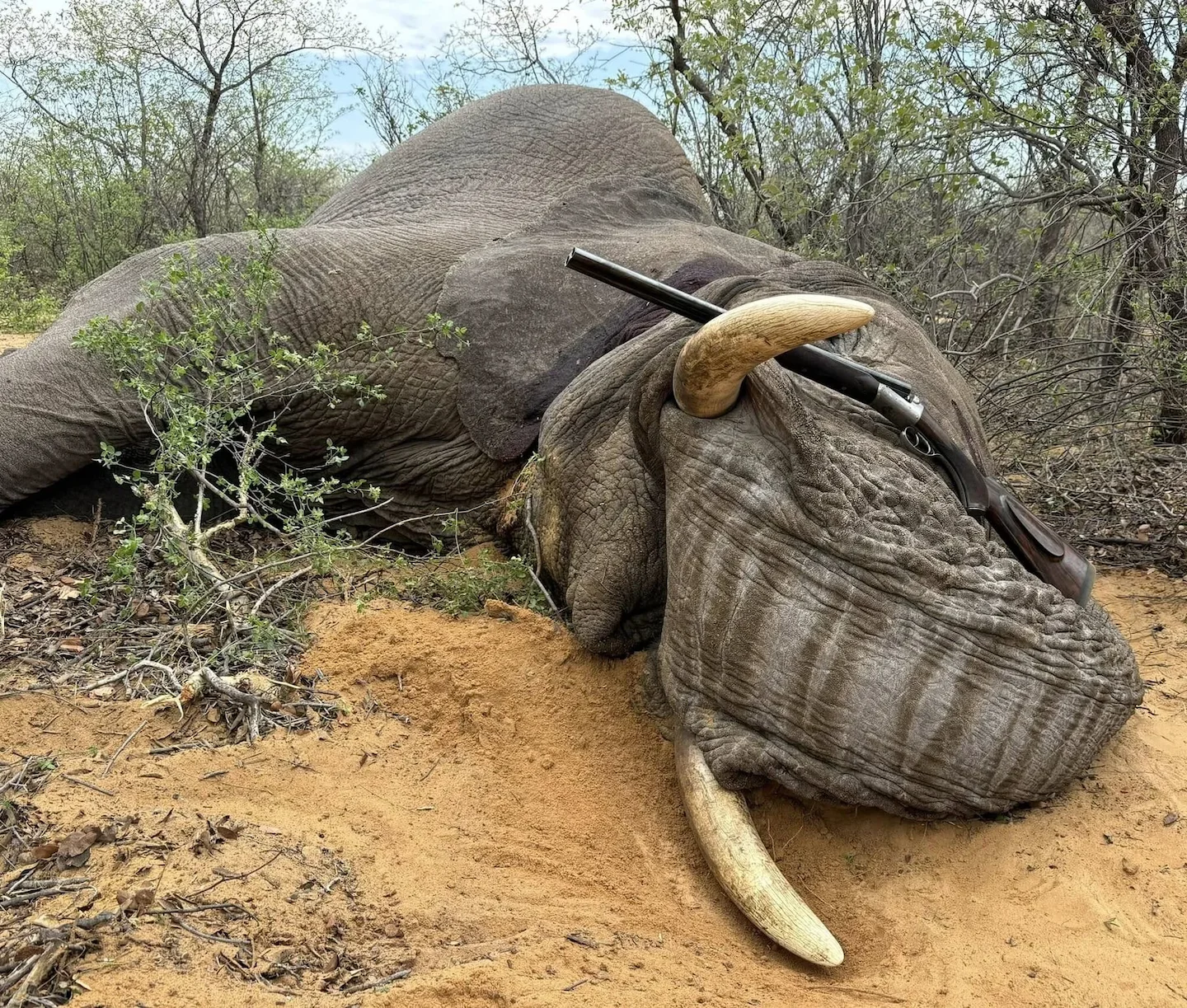 Hunting in Kariba, Zimbabwe: Geographical characteristics in Kariba and types of hunting of the Region