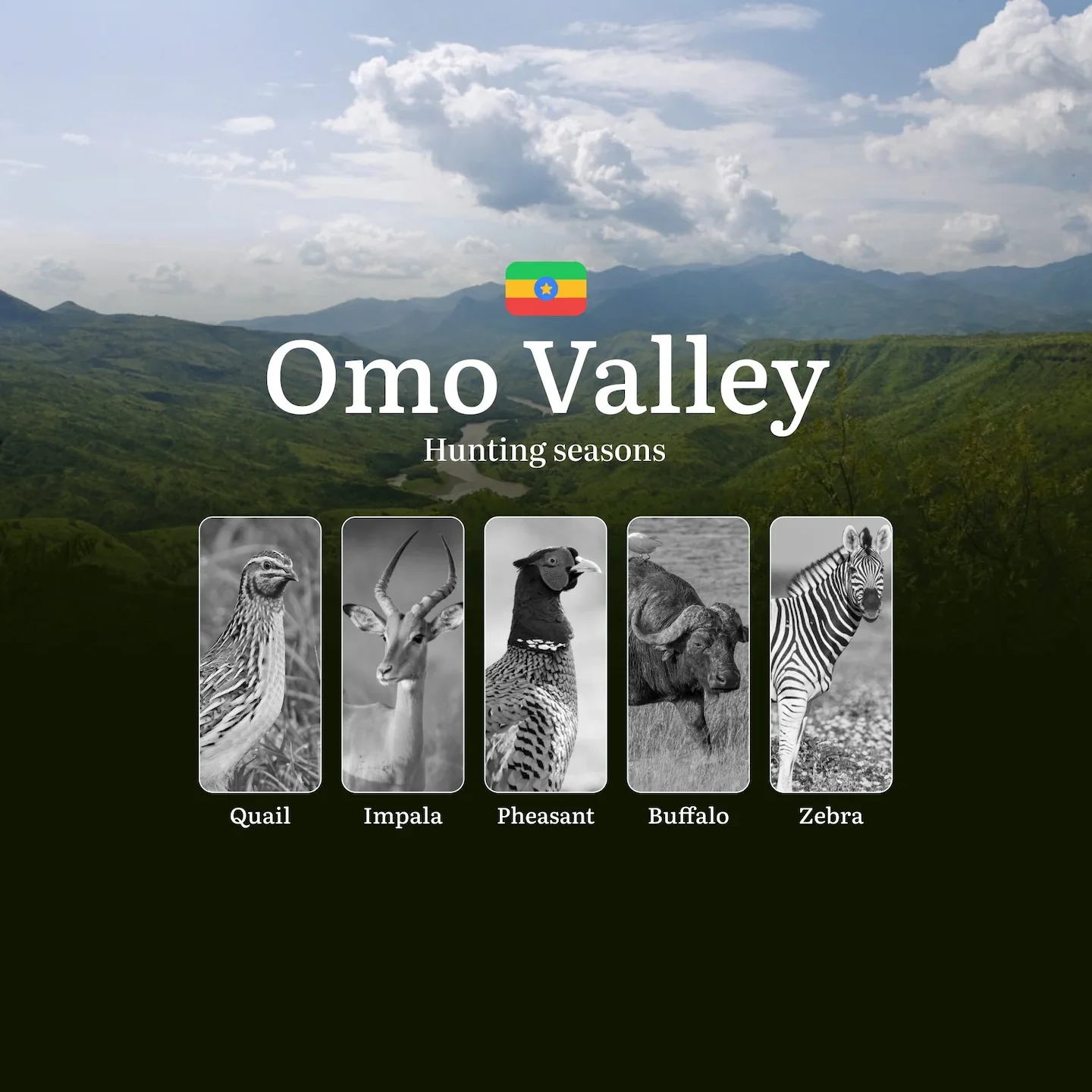 Hunting Seasons in Ethiopia’s OMO VALLEY: Hunting Periods, Times and Dates, Licenses, Rules, and Consequences for Violat…
