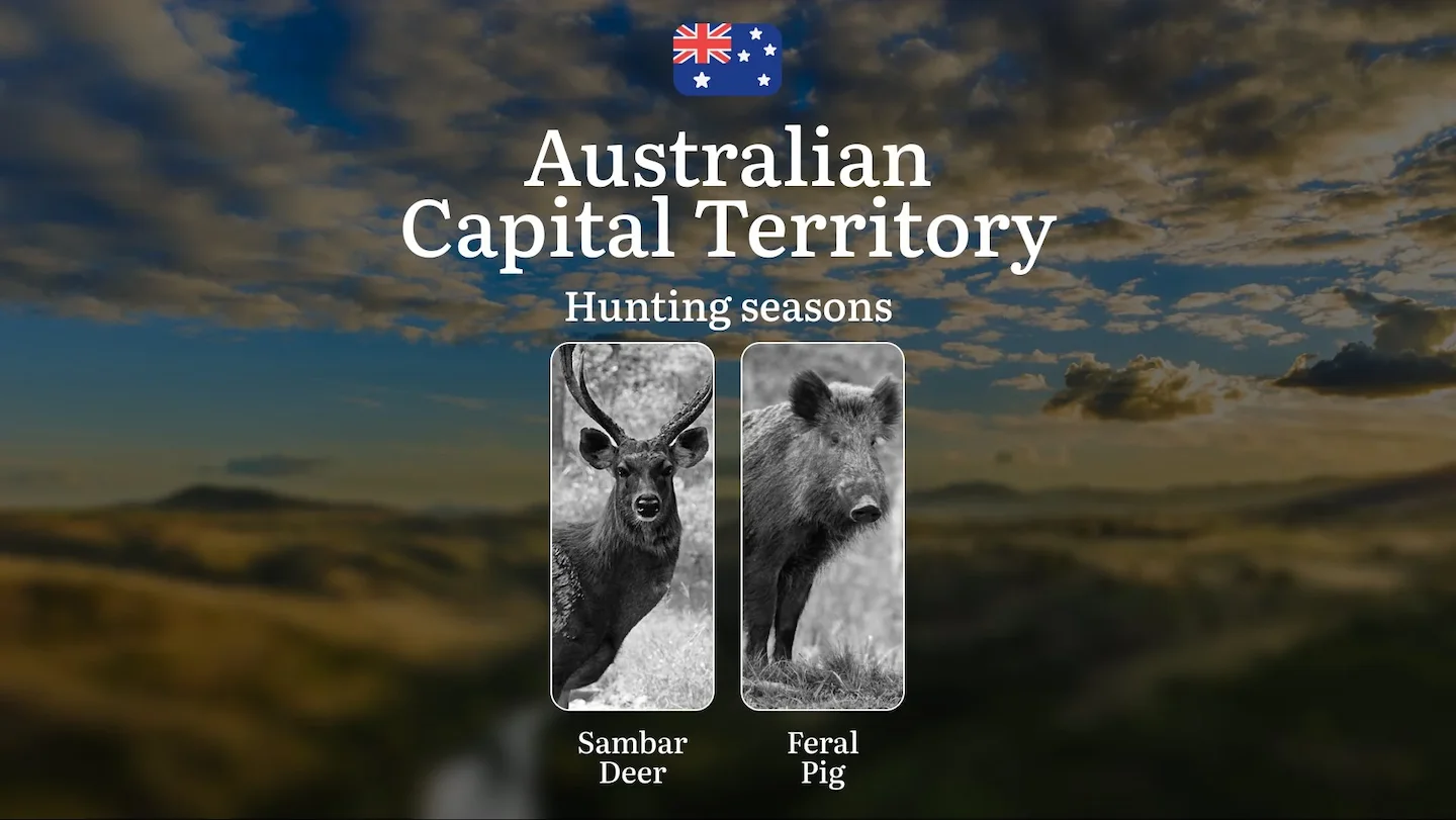 Tracking Calendar and Rules: A Hunter’s Insight into Hunting Opportunities in the Australian Capital Territory