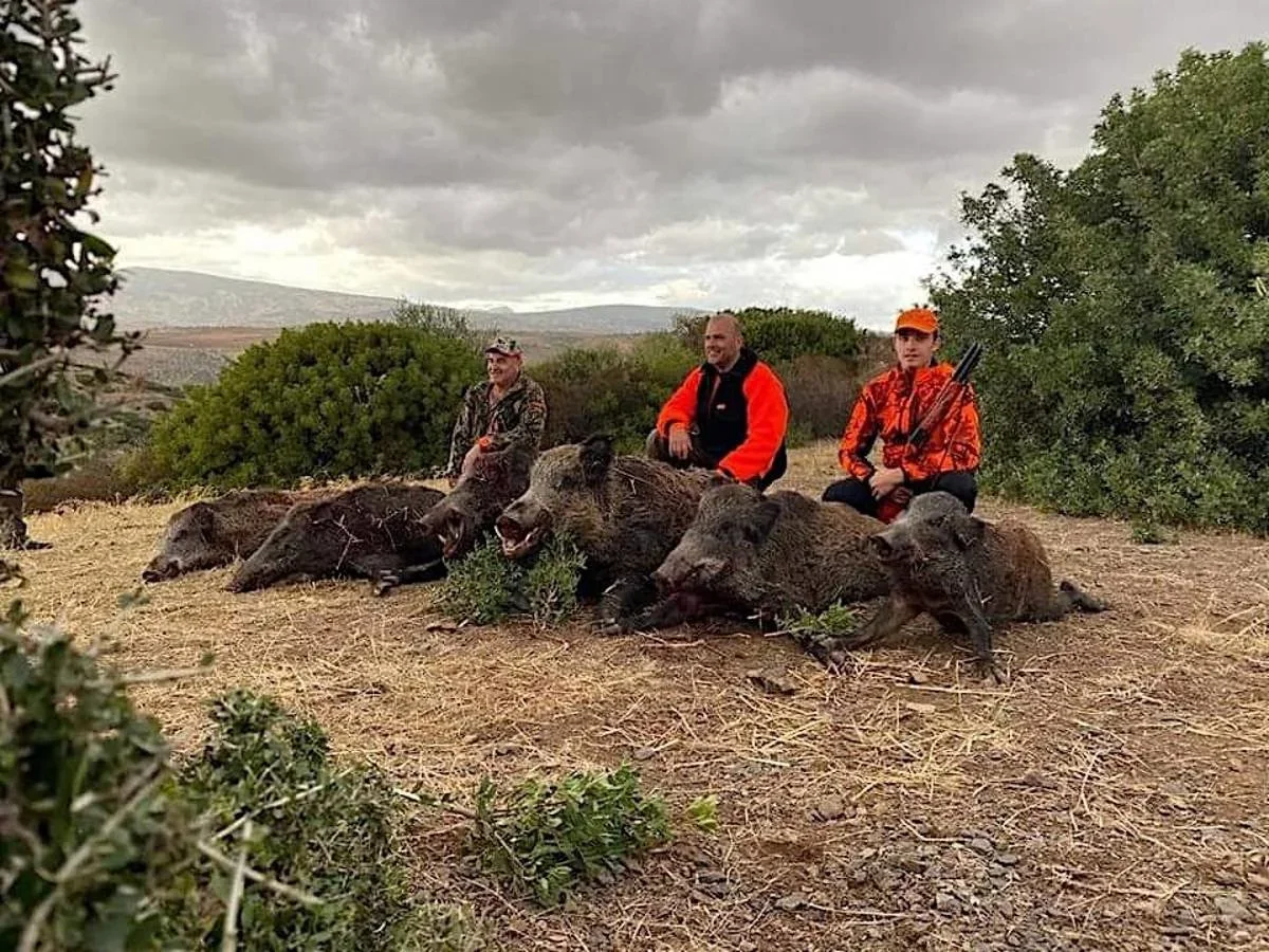 Wild boar Hunting in Beni Mellal: The Treasure Hunter's Guide to Morocco