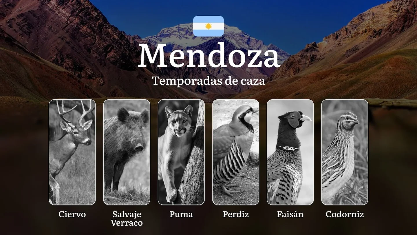 Temporadas de caza en la región de Mendoza, Argentina: fechas, permisos, normas y mejores épocas para la caza, estaciona…