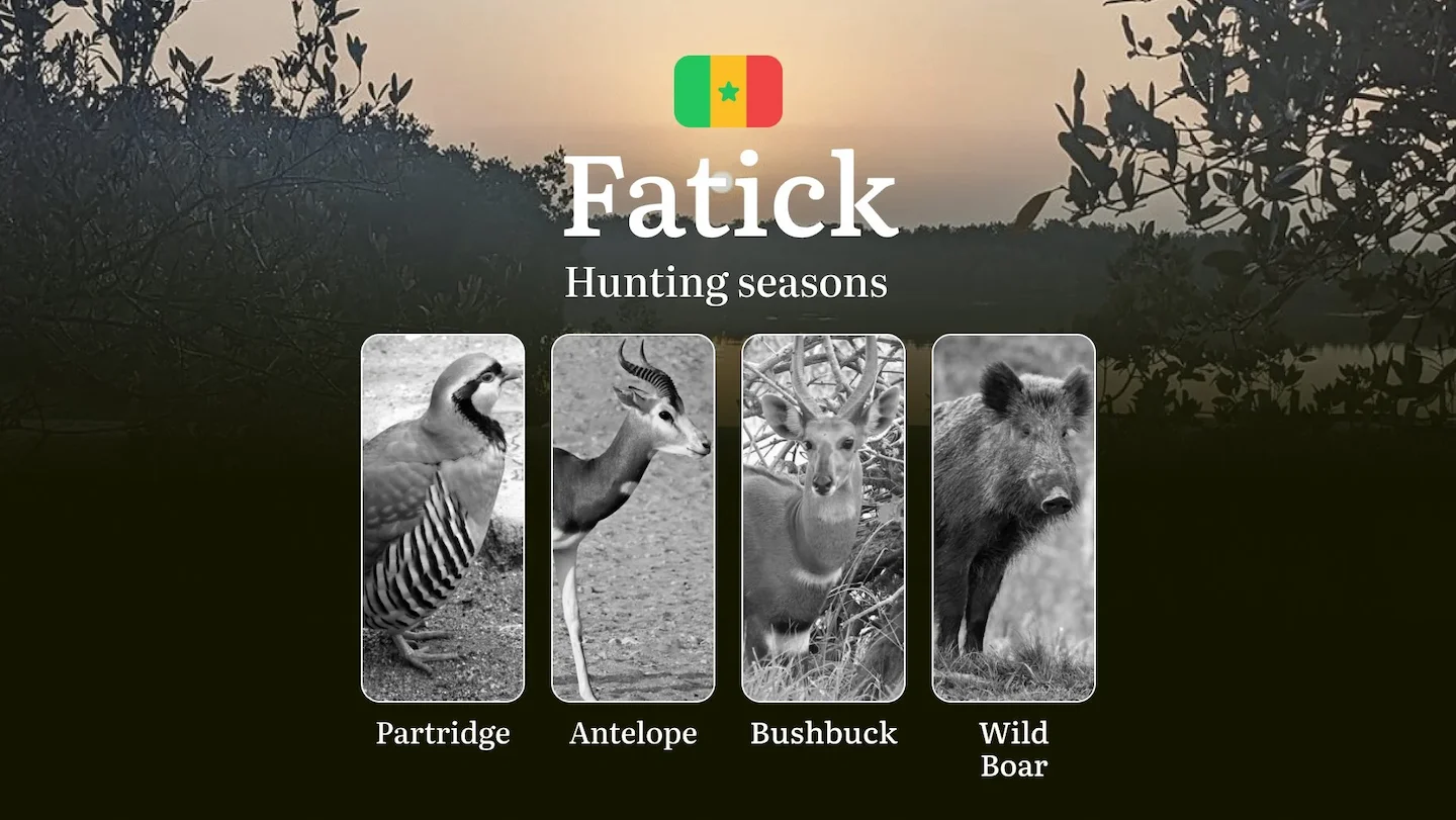 Time of Hunting in Senegal: Hunting Seasons and Dates in the FATICK Region, Opening and Closing Dates, Licenses, Rules,…