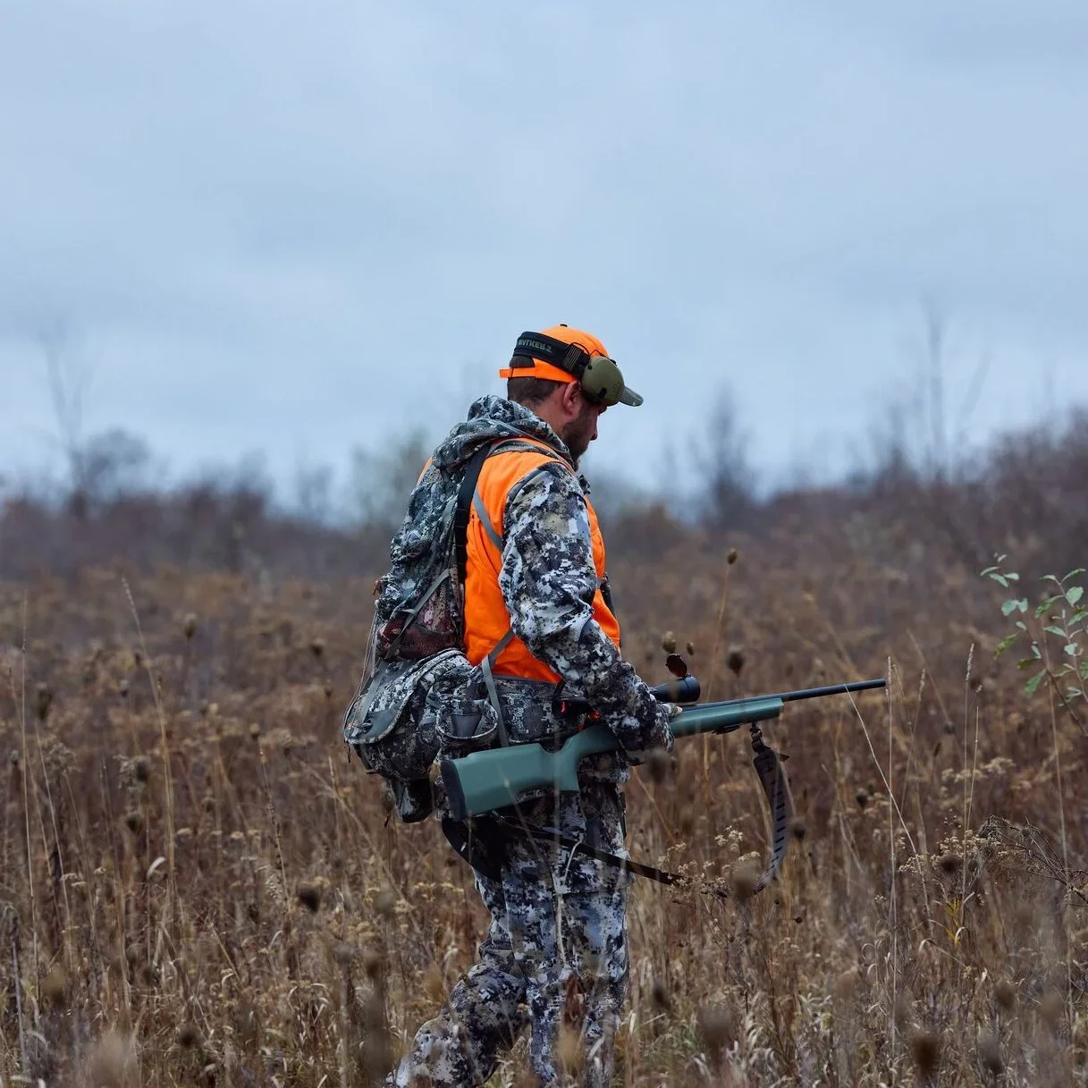UK Hunts Have Taken Over £2.4 Million in Public Funds Since the Ban — New Report Sparks Debate