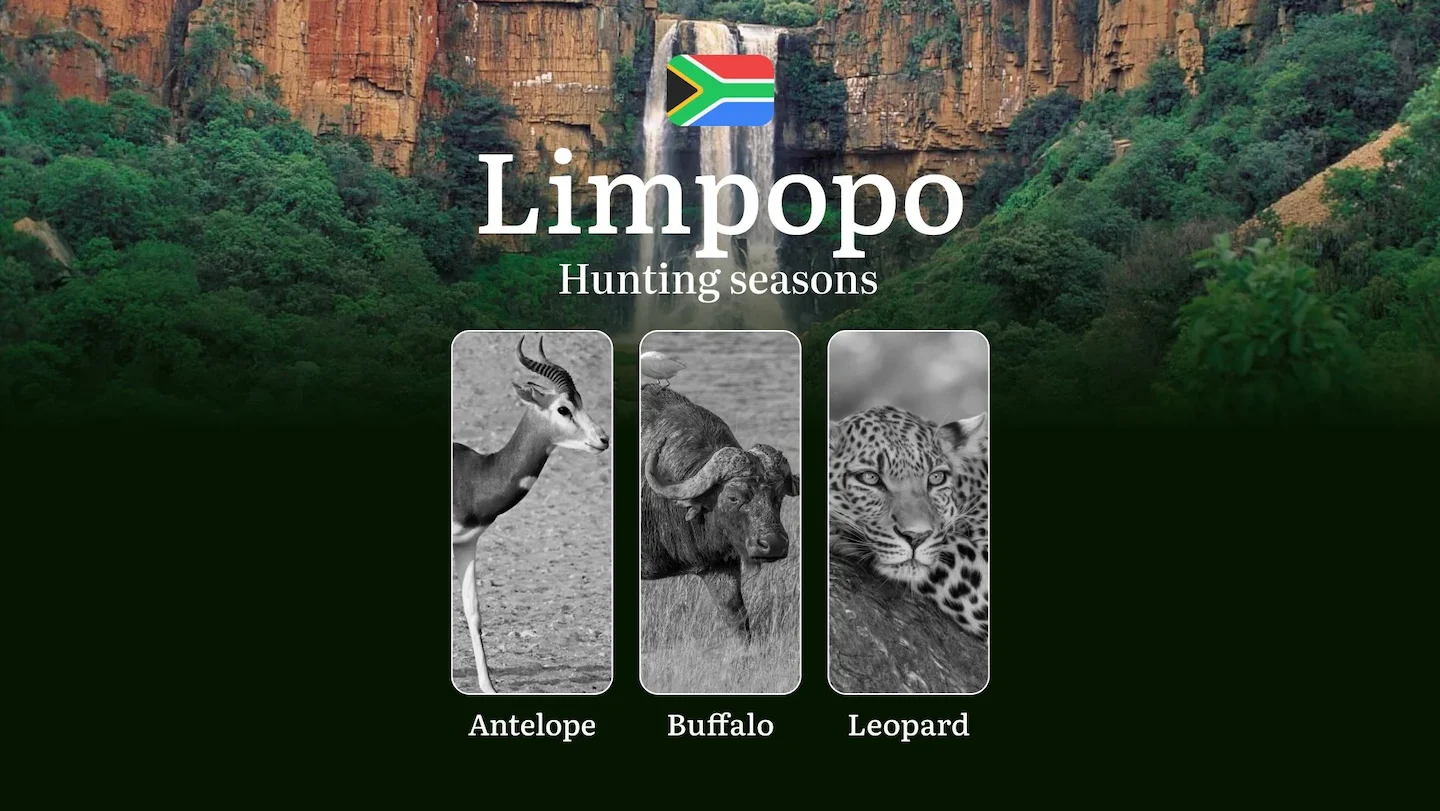 Hunting Time in South Africa, Limpopo Region: Seasons and Dates of Hunting, Licences and Rules for Hunting, Tips for Hun…