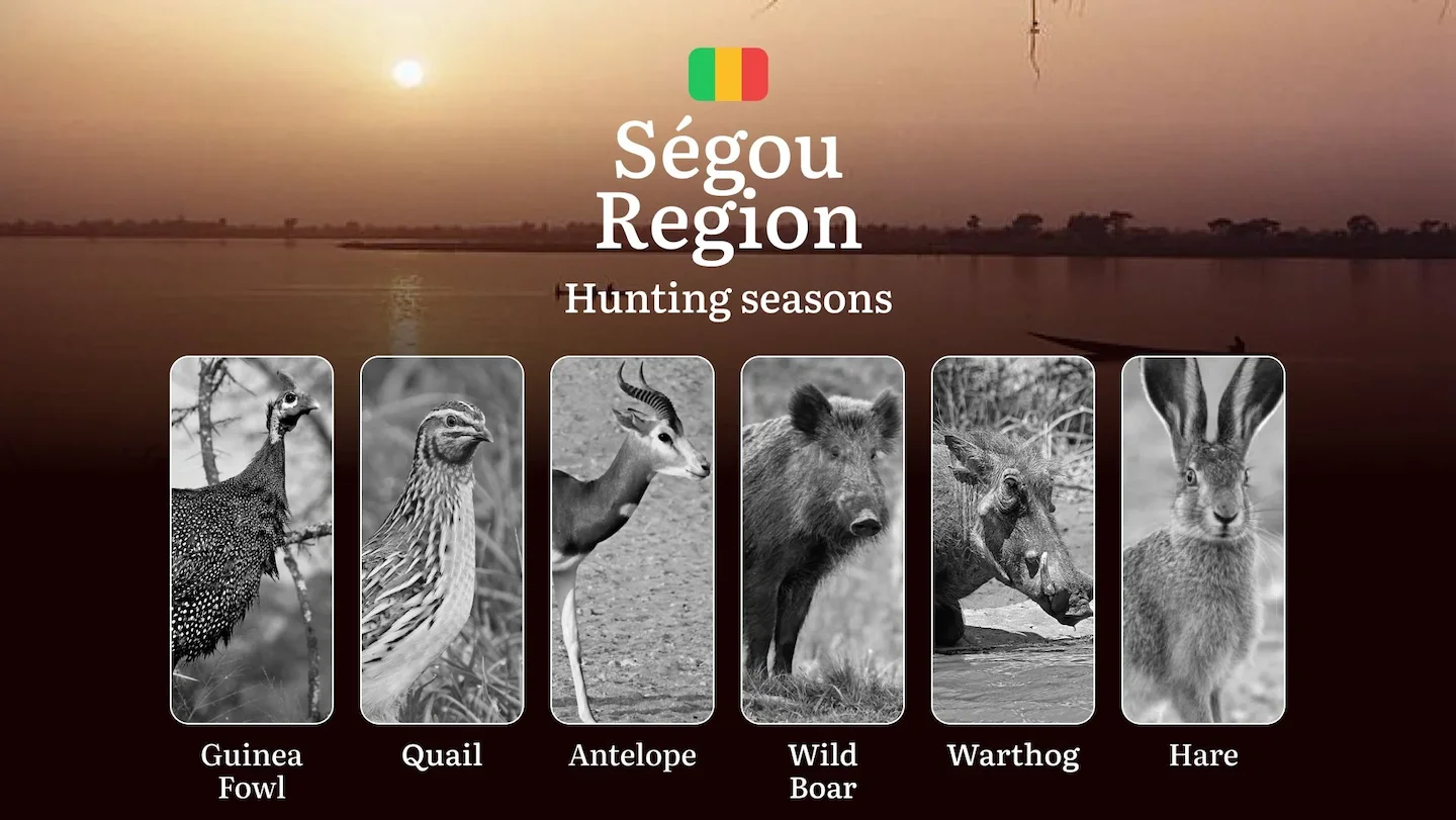 Ségou Region: Official Hunting Periods, Legal Limits and Seasonal Bans, Licensing Requirements, Fines and Legal Conseque…