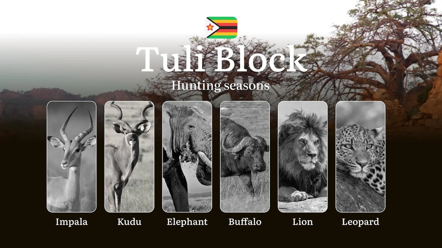 Seasons of Hunting in Zimbabwe’s TULI BLOCK: Hunting Periods, Licenses, Rules, and Times for Hunting, Documents and Orga…