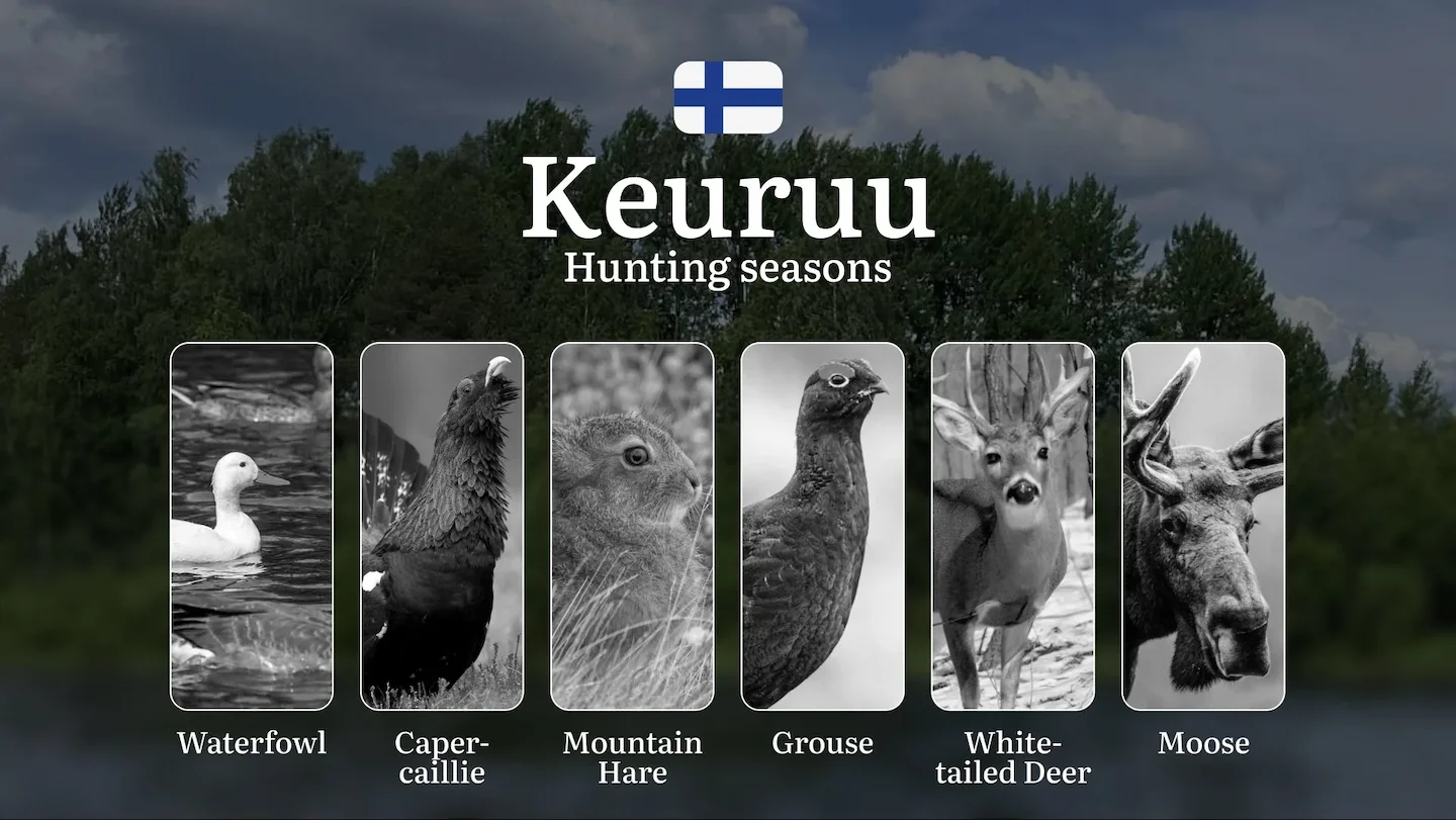Hunting Seasons in KEURUU: Optimal Hunting Periods, Required Licenses, Legal Consequences, Crucial Regulations and Restr…