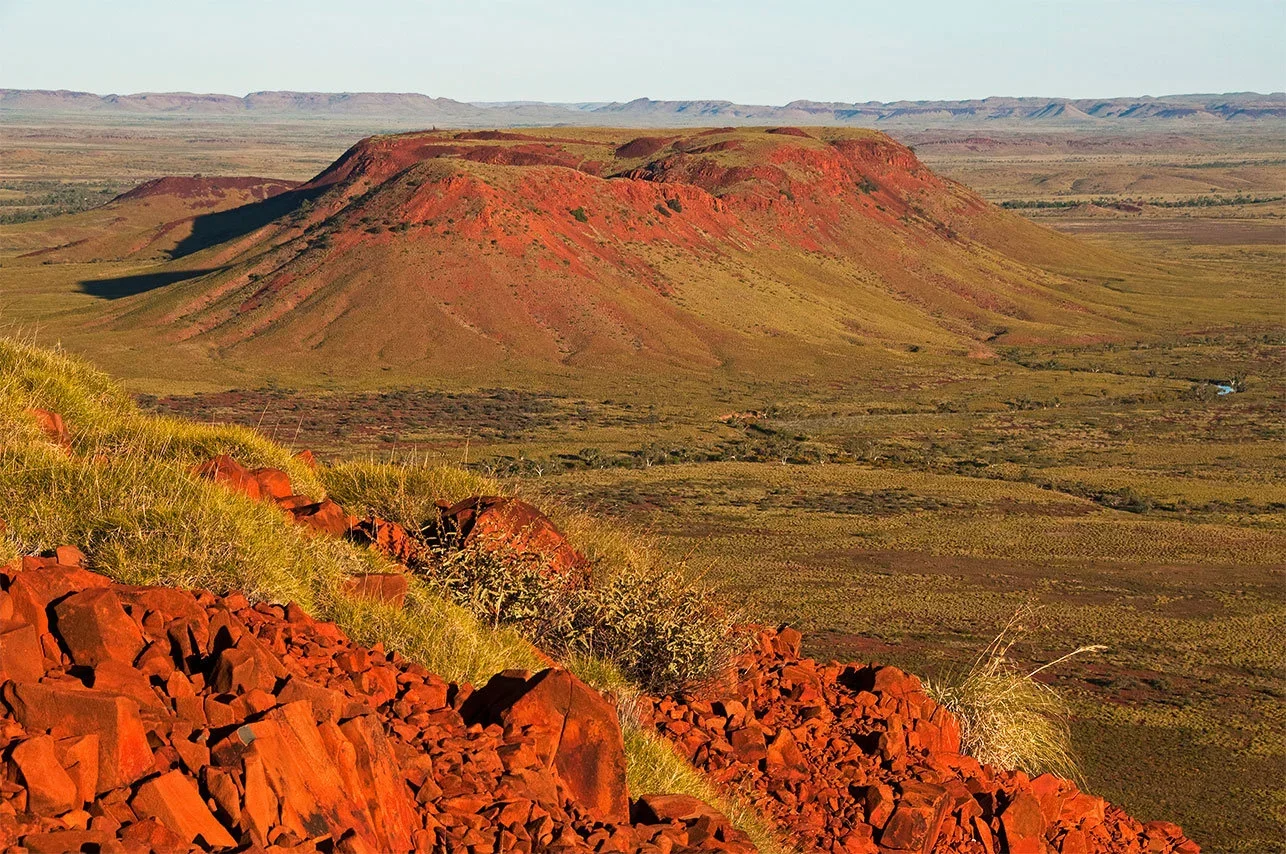Pilbara Hunting Regions: Understanding the Demographics of Remote Hunters,  Legislation System, Associations and Clubs,…