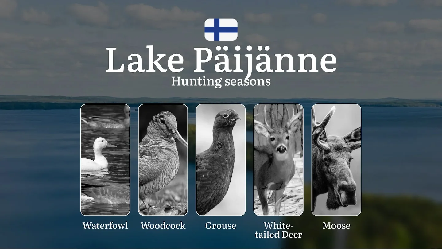Hunting Seasons in LAKE PÄIJÄNNE:  Core Regulations, General Hunting Rules, Key Timelines, Permit Acquisition Process an…