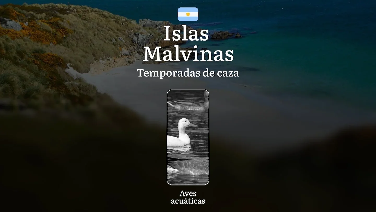 Plazos de caza en Argentina en la región de Islas Malvinas: temporadas de caza, apertura y cierre, licencias, normas y m…