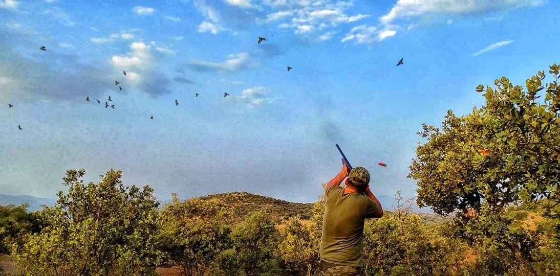 Compliance with Laws on the Protection of Migratory Birds in the Laayoune Region is the Key to Sustainable Hunting
