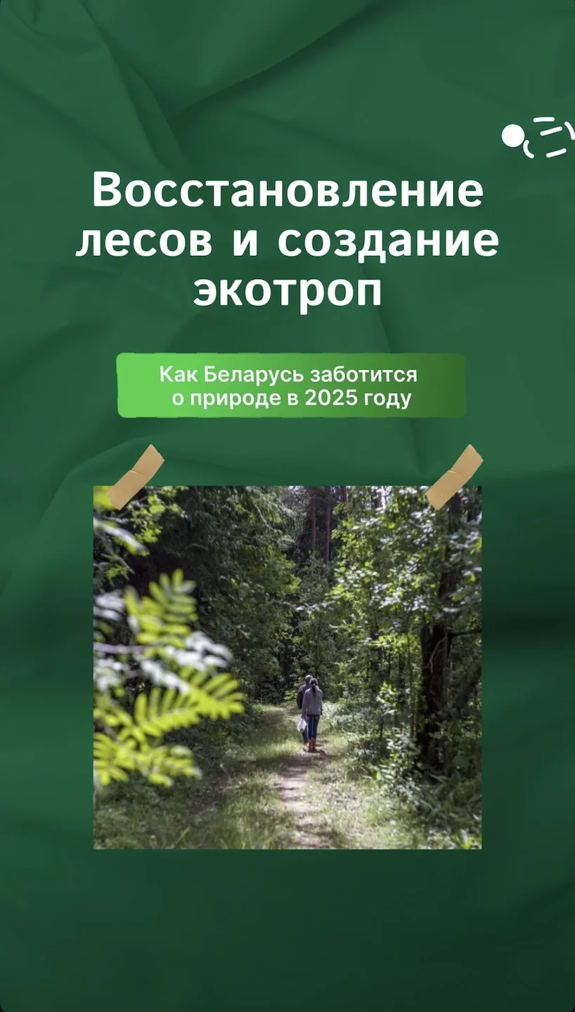 По информации Минлесхоза, в 2025 году — Год благоустройства - стартует масштабная программа по восстановлению и облагораживанию лесных территорий.