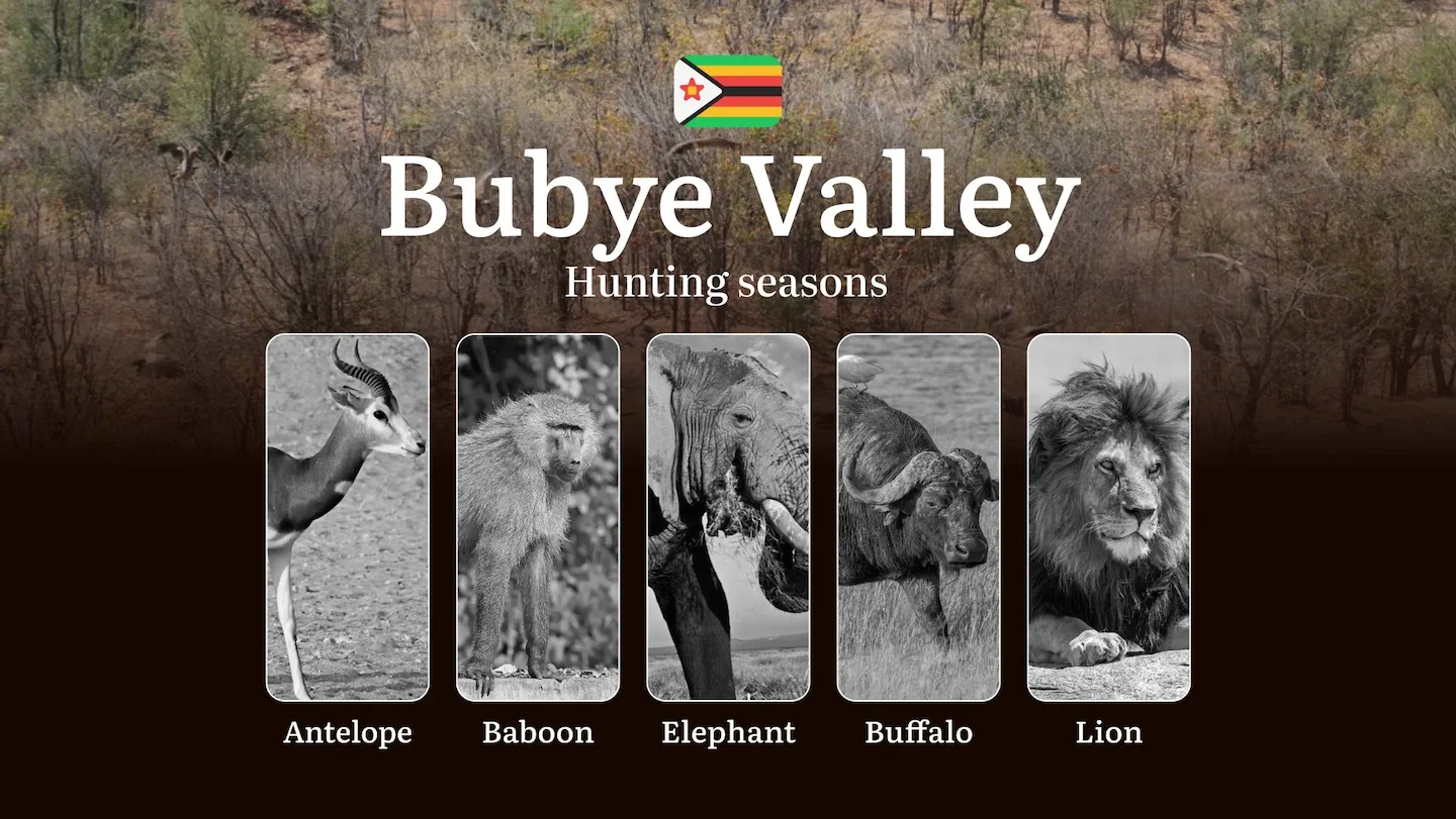 Hunting Seasons in Zimbabwe’s BUBYE VALLEY: Hunting Periods, Opening and Closing Dates, Licenses, Rules, and Times for H…