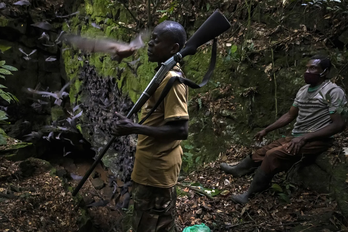 Hunting in Ogooué-Lolo, Gabon: Geography, Demographics and Hunting Seasons, Hunting Legislation of Gabon